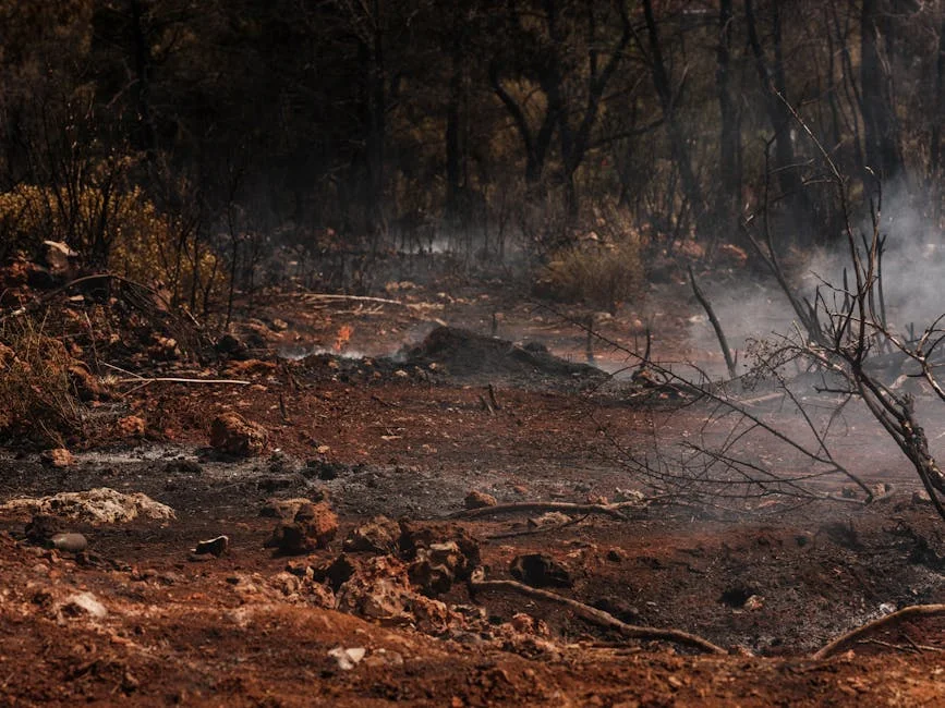 Nairobi Climate Forum Warns of Below-Normal Rainfall Threatening East Africa's Economy