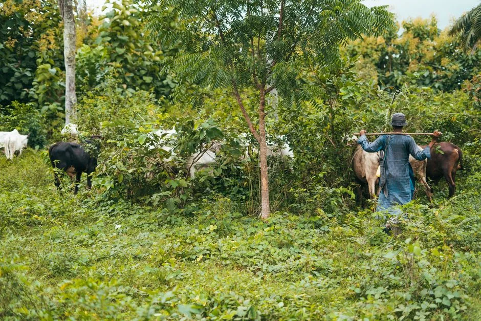 Niger Delta Stakeholders Defend TANTITA Drone Operations — Why Oil Markets Are Watching — Health Medicine
