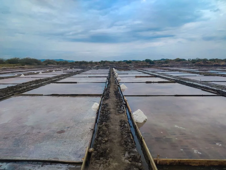 Nigeria Discovers Platinum, Lithium, Rare Earth Deposits — What It Means for Critical Minerals Markets — Politics Governance