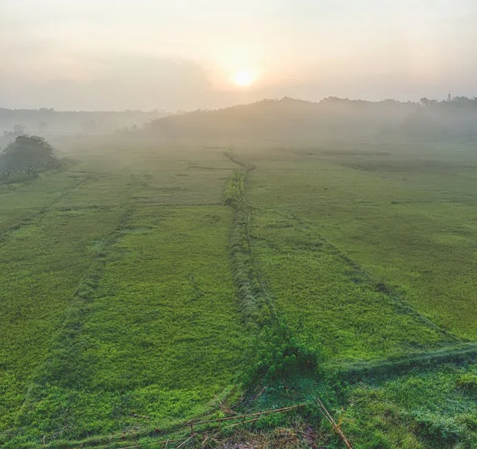 Nigeria Unveils Land Trust to Cut Risk for Youth Agribusiness Investors — Economy Business
