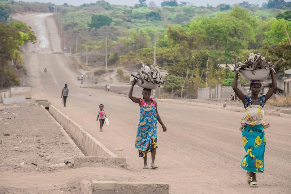 Northern Nigeria's Power Crisis Forces Economic Rethink as Regions Demand Reform — Politics Governance