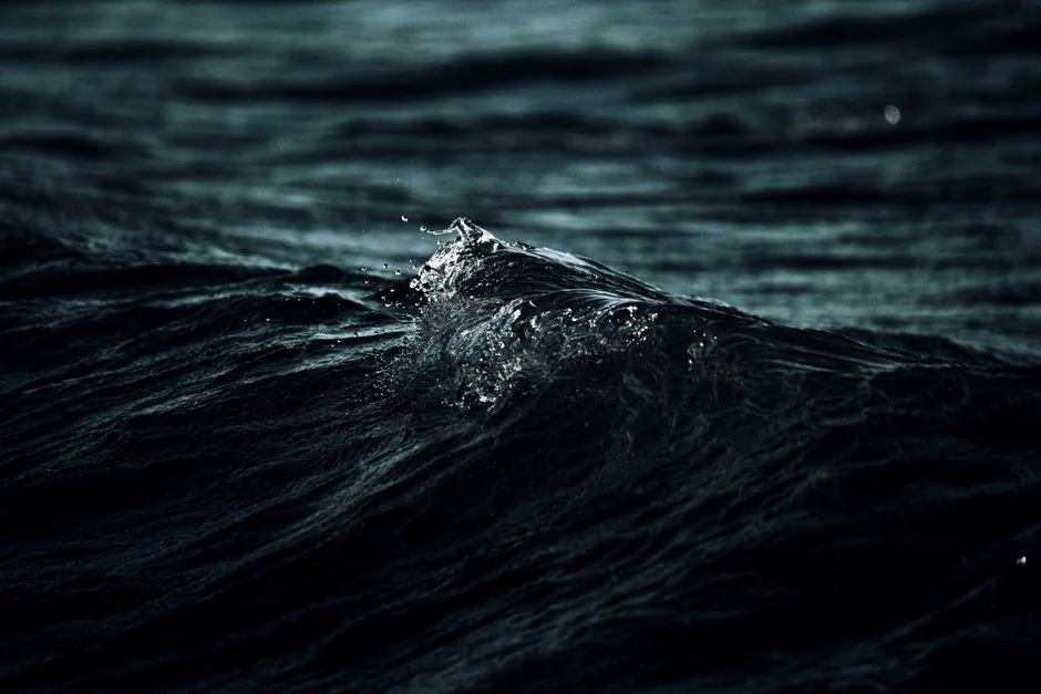Ocean Leaders Sound Alarm: 30x30 Deadline Approaches with Africa Miles Behind — Politics Governance