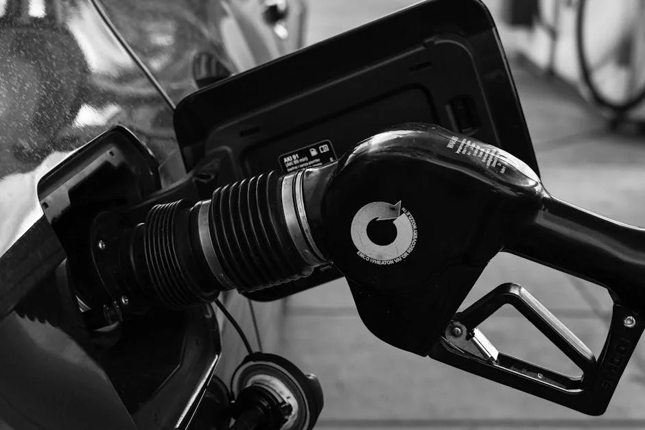 Oil Prices Rise as Gold Declines — Impact on South African Economy
