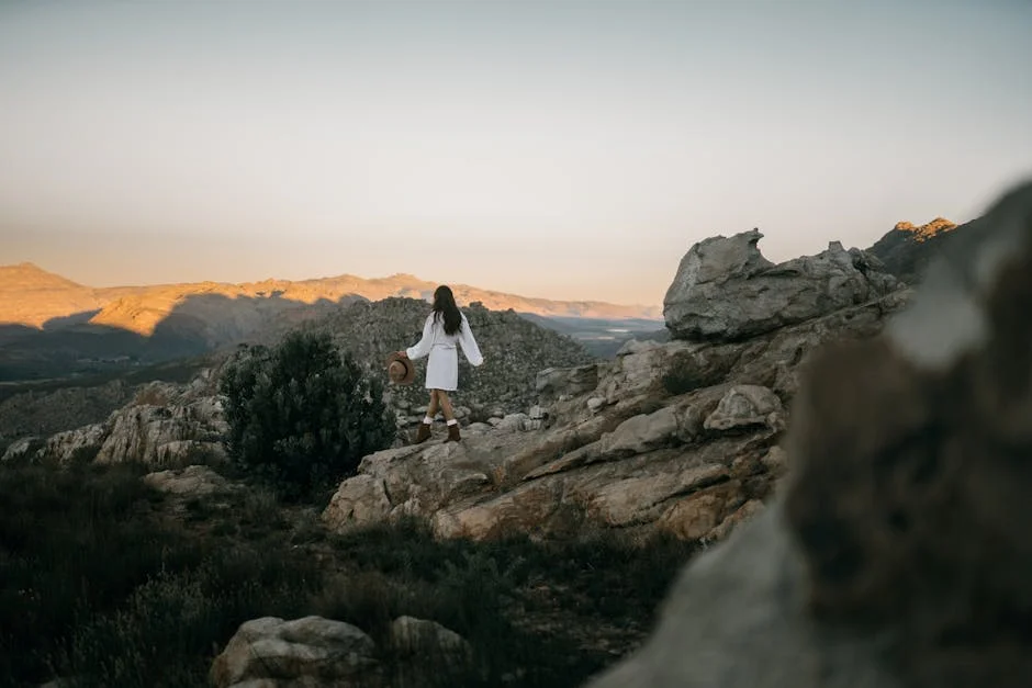 Paarl Winery Exits UK Rewilding: Market Signals Shift
