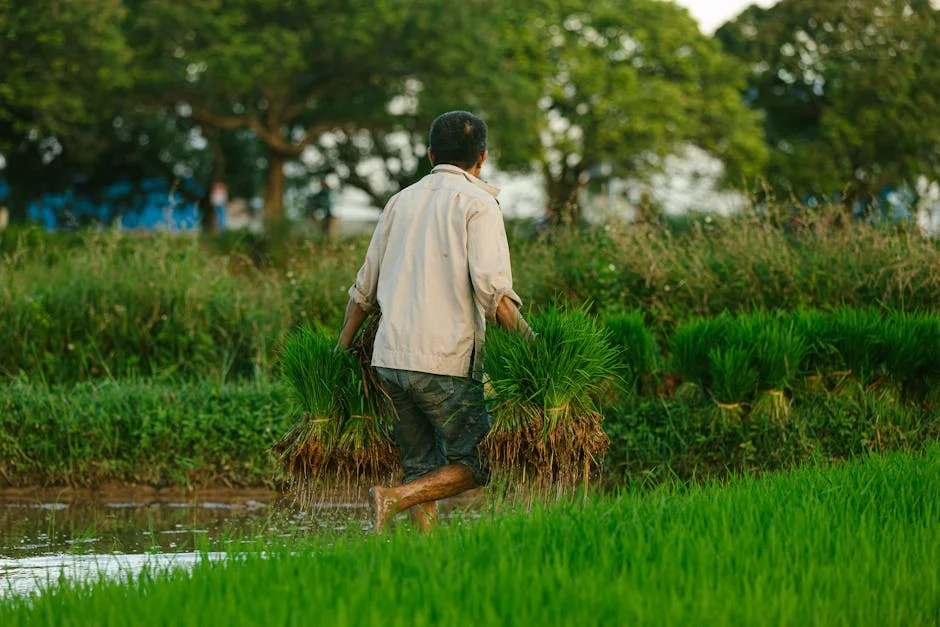 Portugal Rejects Exclusion of Retired Farmers from Income Support