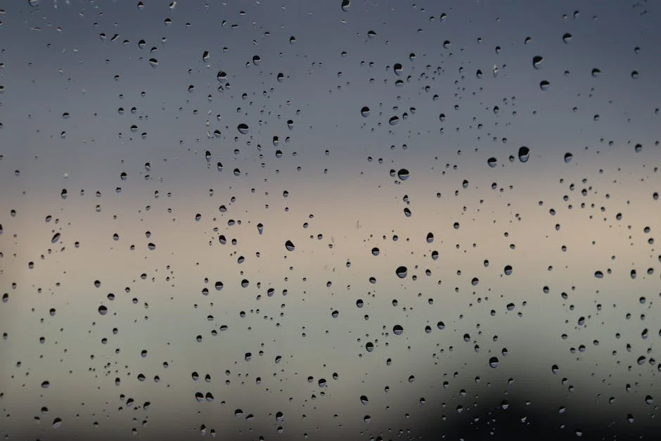 Rain Set for Eastern Cape as Heat Bakes Rest of South Africa — Economy Business