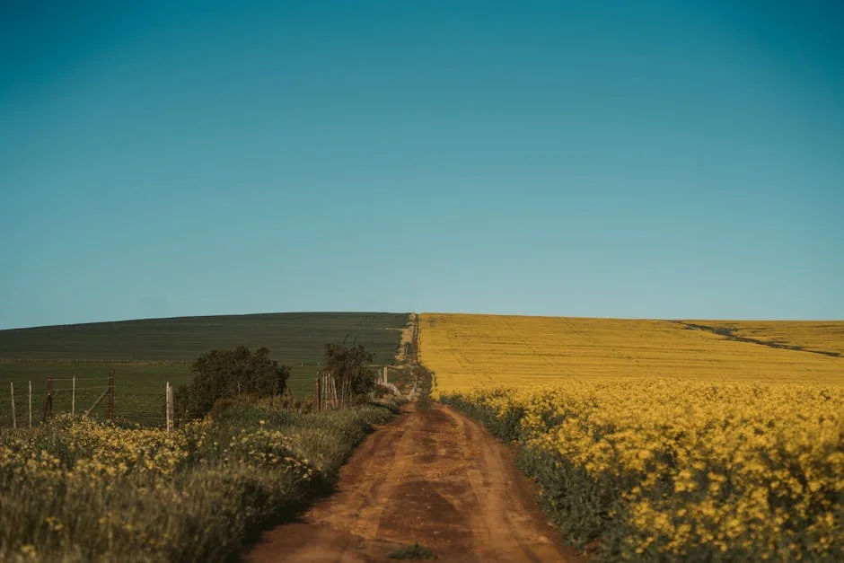 Ramaphosa Challenges Phala Phala Report — Implications for South Africa's Stability