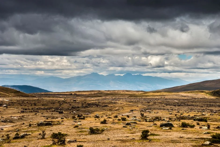 Ramaphosa Confirms Land Restitution Policy — North West Businesses Brace for Change