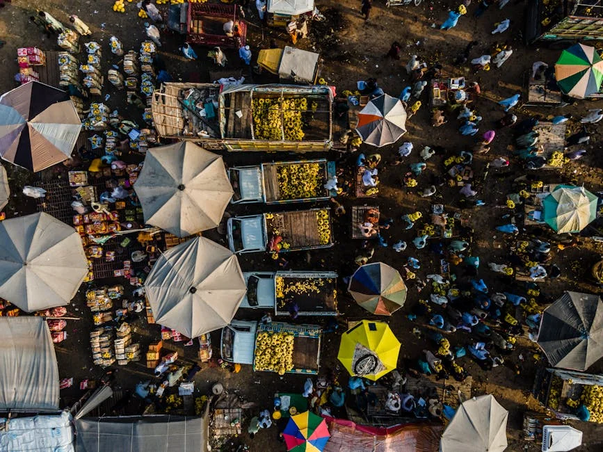 Ramaphosa Fires Tolashe — Markets React to Policy Shift — Politics Governance
