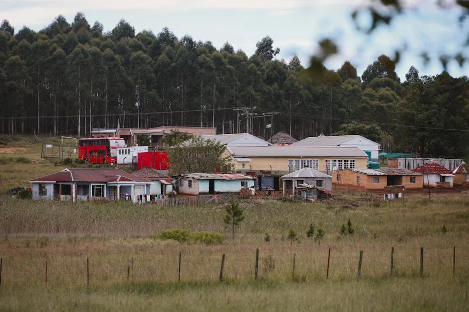 Ramaphosa Removes Tolashe — A Bold Step Towards Ethical Governance