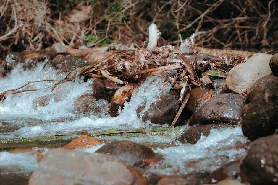 Rand Water Restores Johannesburg's Water Supply — Businesses Brace for Impact — Health Medicine