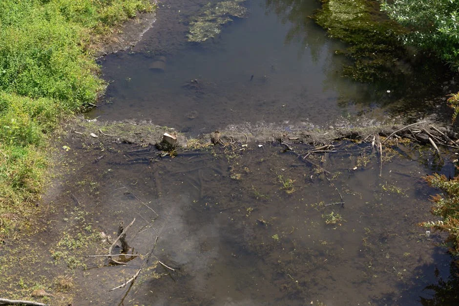 River Lugg Pollution Crisis Hits UK Markets and Property Values