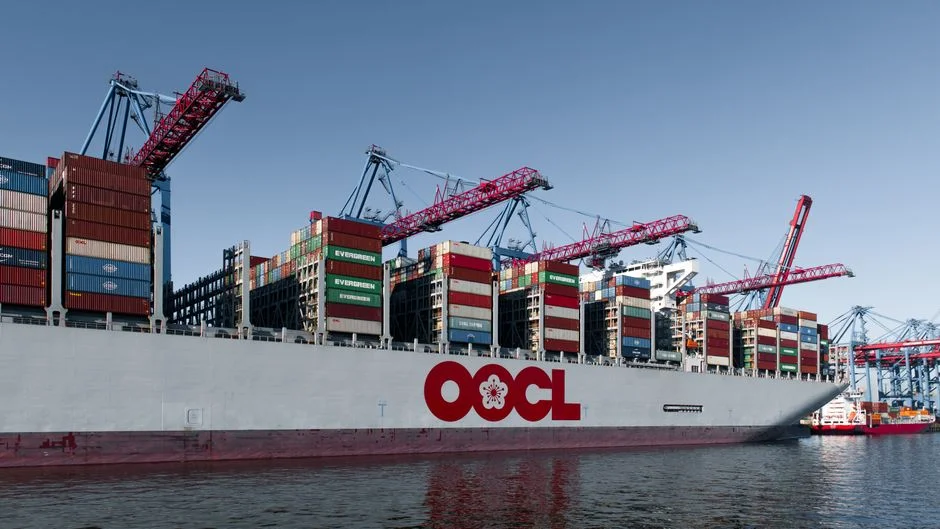 SA Ag Exports Surge 11% — What Investors Need To Know Now — Economy Business