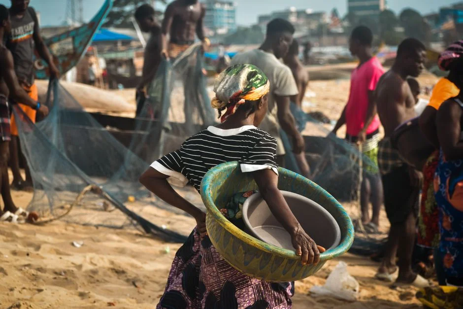 Sierra Leone Fishermen Demand Action as Chinese Trawlers Deplete Waters — Agriculture Food