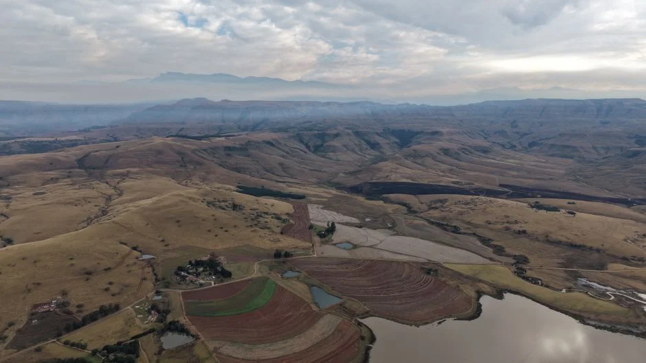 South Africa Braces for Frost — Agriculture, Energy Markets on Alert — Education