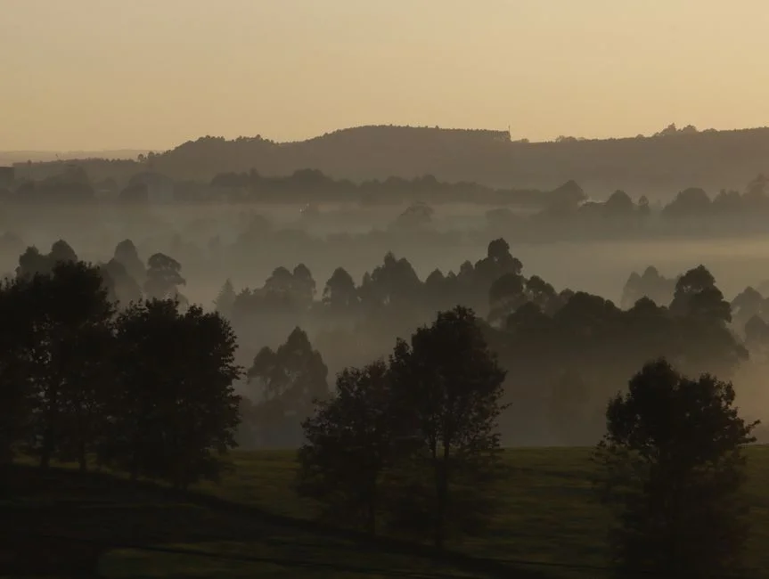 South Africa Braces for Frost and Fog — What Tuesday Morning Means for Business — Culture Arts