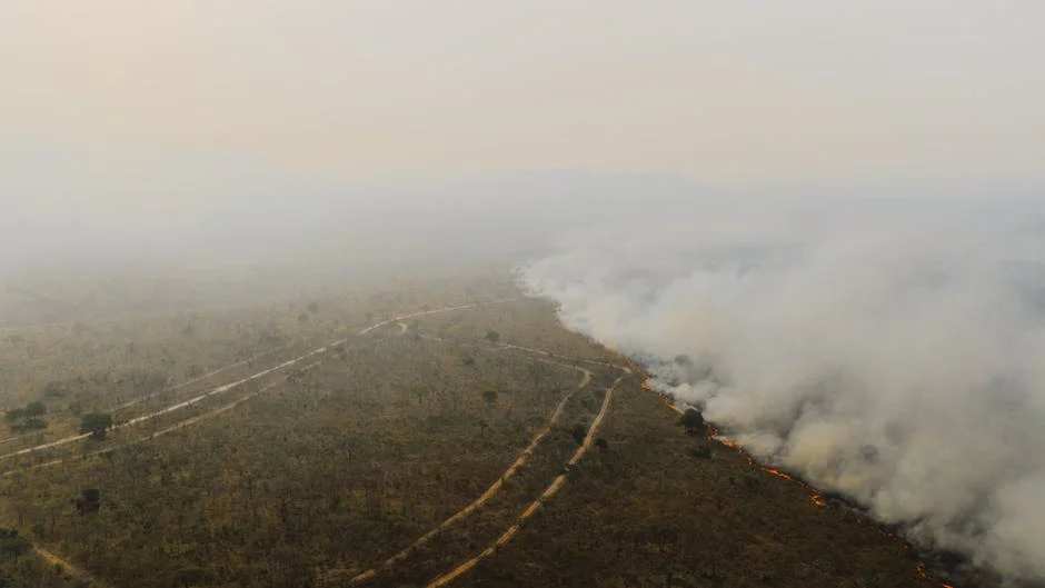 South Africa Climate Promises Draw $8.5 Billion — and Investors Are Watching
