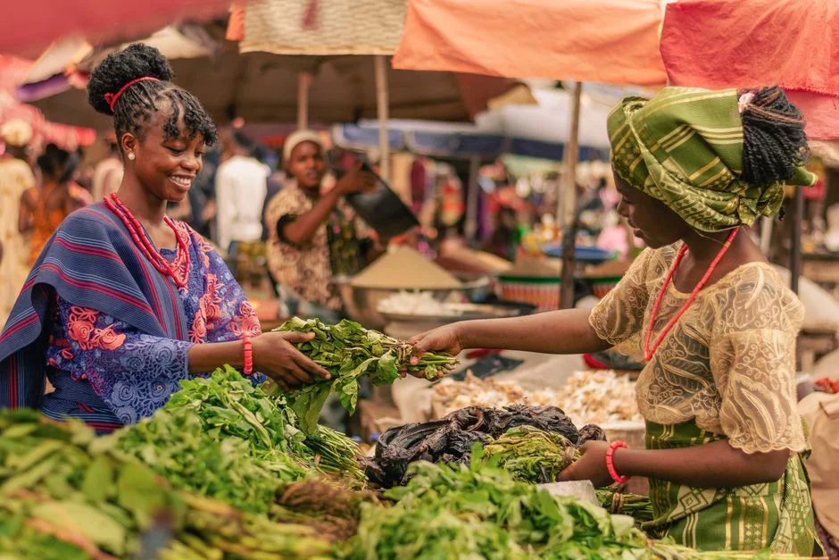 South Africa Excludes Nigeria from Investment Fund Over Record Trade Deficit — Technology Innovation