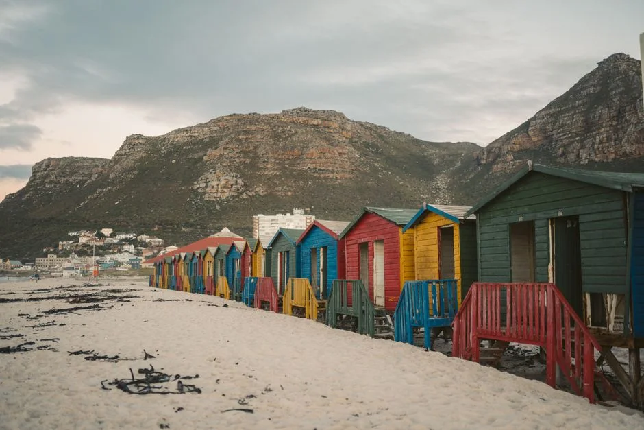 South Africa Seizes Trade Opportunity as China Boosts Apple and Pear Exports