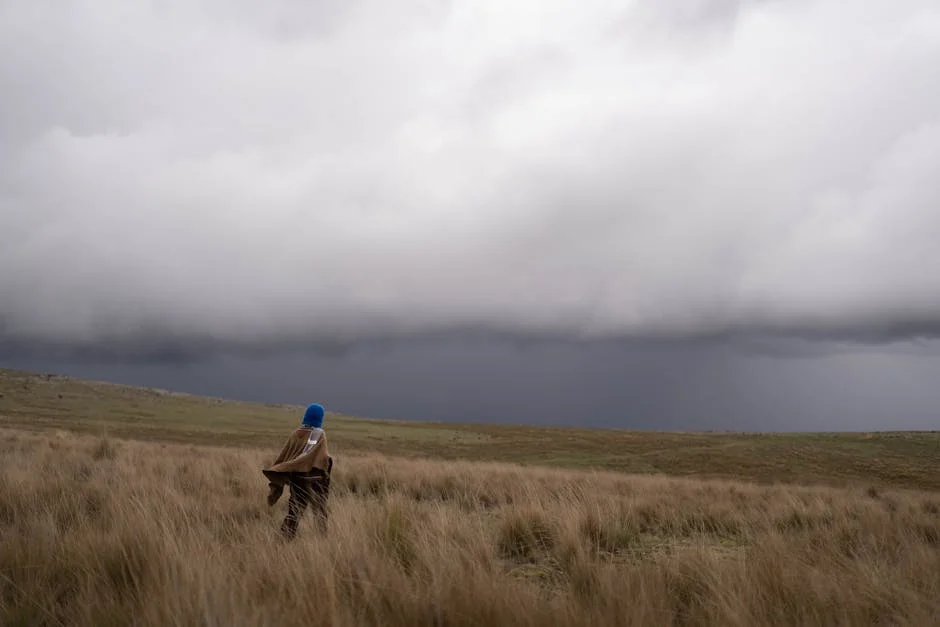 South African Weather Service Warns of Showers in Mpumalanga, Limpopo, and KZN