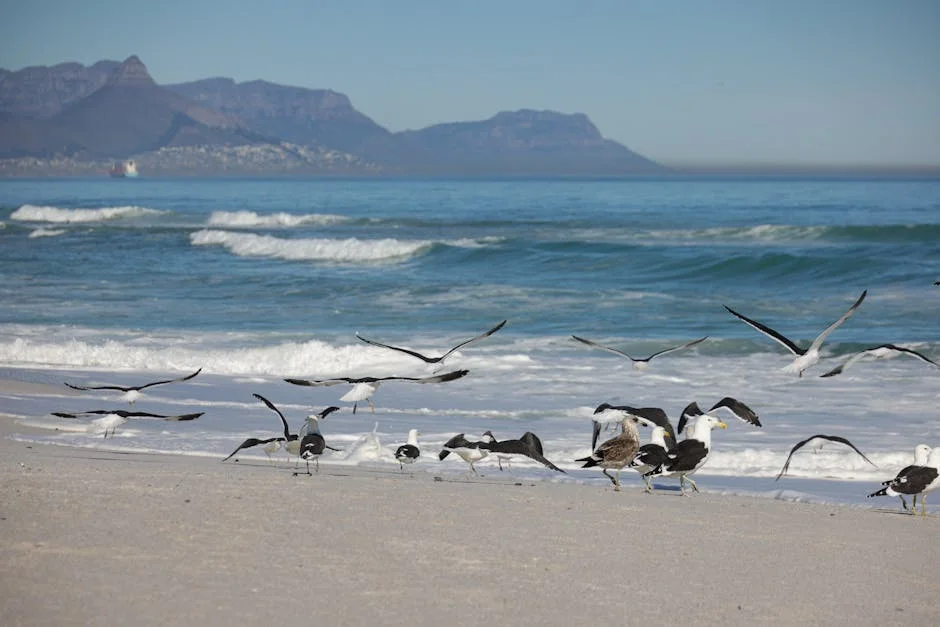 South Africa's Cost of Living Crisis Surges — Emfuleni Sees Political Shift — Education