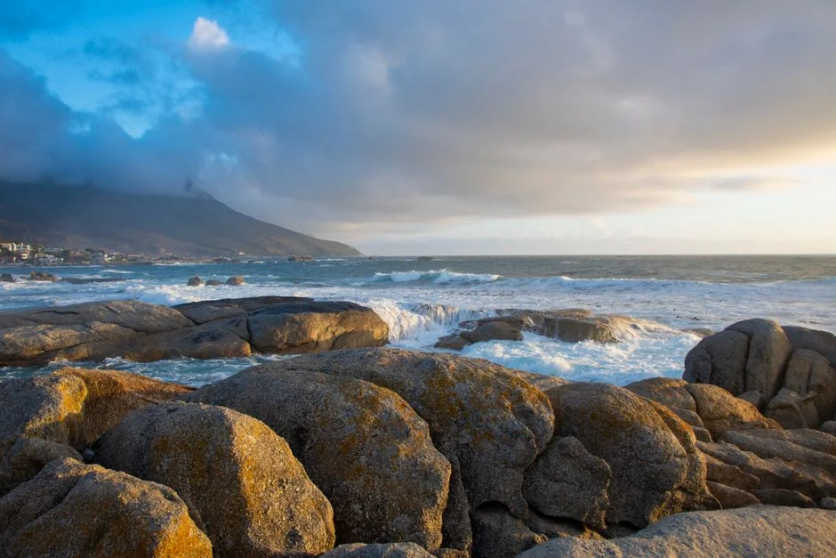 South Africa's Cross-Border E-Commerce Bet: Why Trust Is Now the New Currency