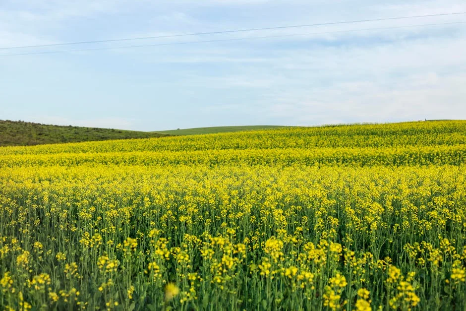South Africa's Hay Fever Spike Threatens Pharmaceutical Market Stability