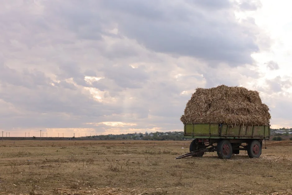 South Africa's Ministry Launches Composter Initiative Amid Waste Crisis