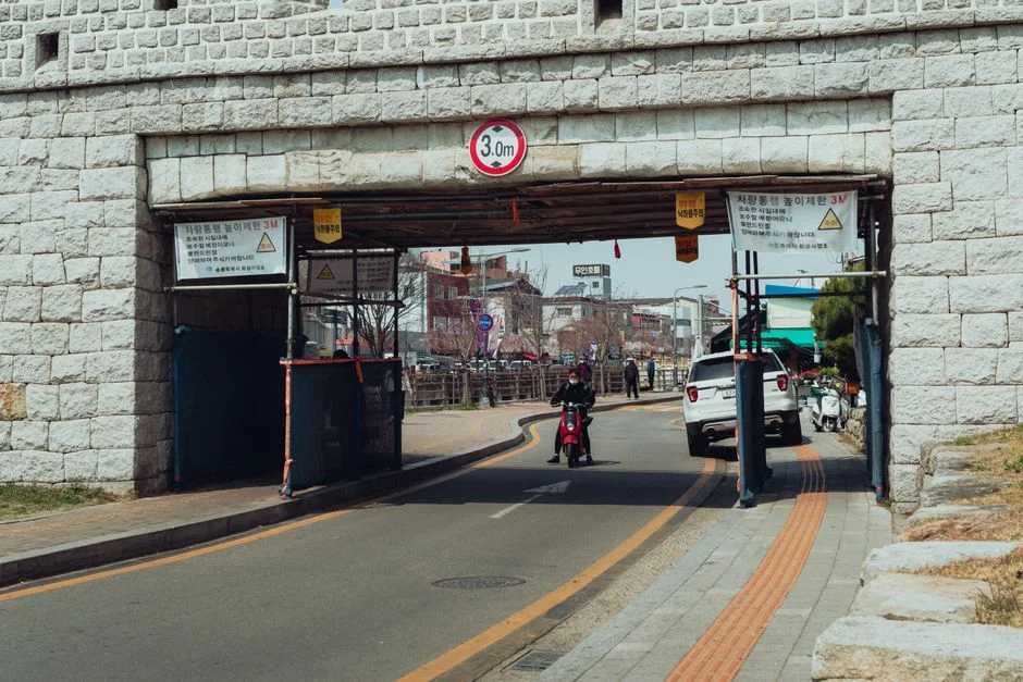 South Korea Fans Turn South Africa Stadium Into Home Fixture — Businesses Brace for Revenue Surge