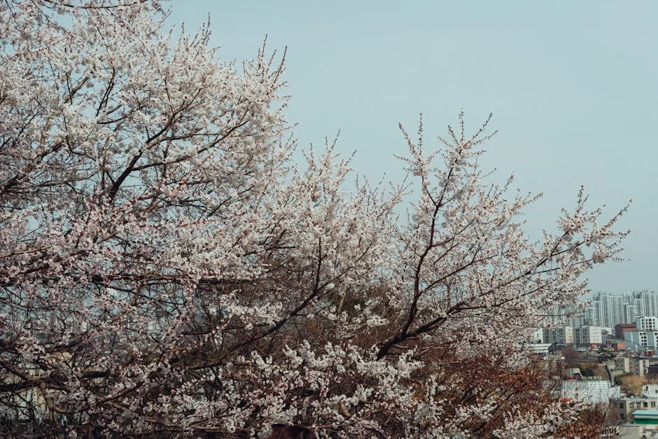 South Korean Authors Rise Amid Hate to Top Global Charts
