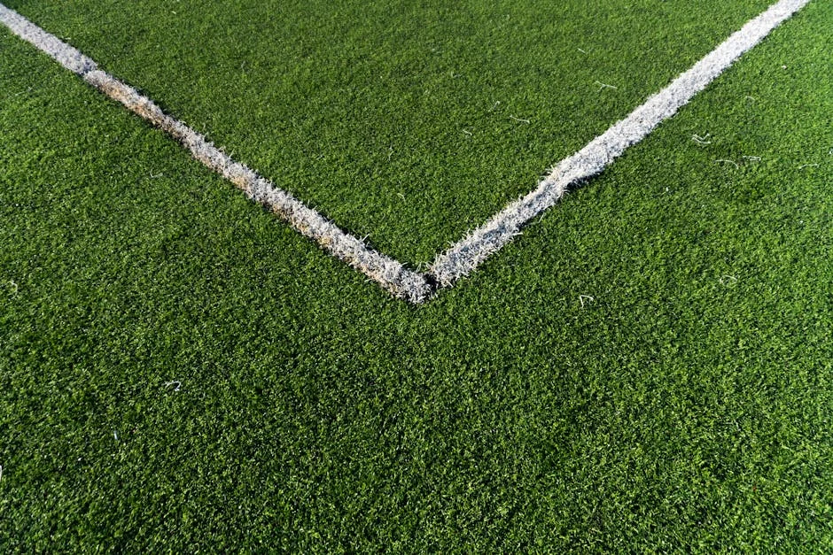 Sporting CP Unleashes Endrick — Market Implications Explained — Economy Business