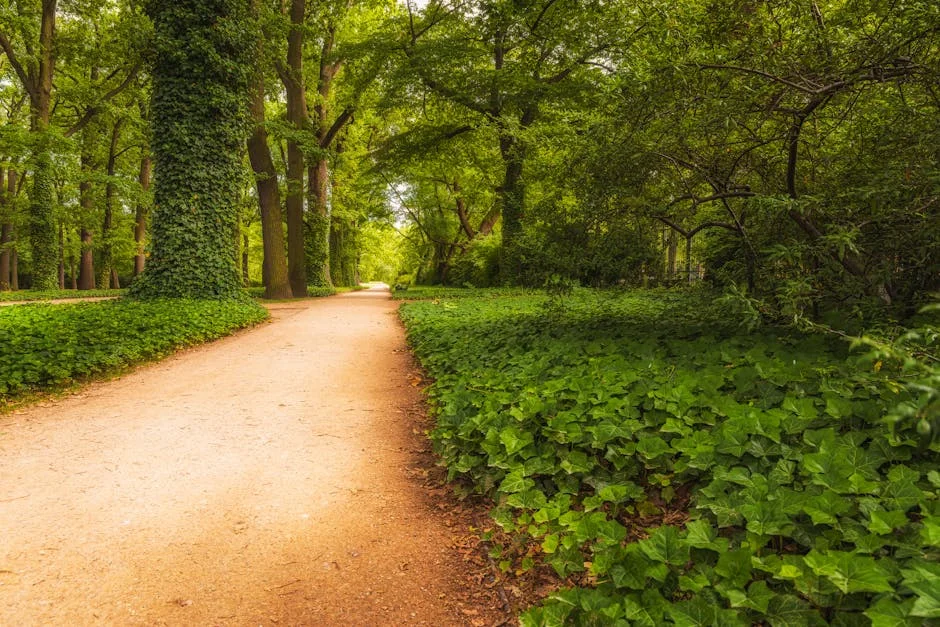 Tamil Nadu Halts Greenery Project in Tiruchuli Amid Development Fears