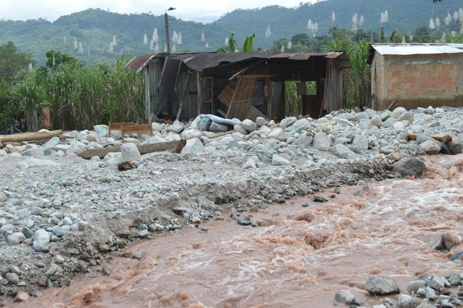The New Humanitarian Exposes $20 Billion Aid Leakage in Africa — Education