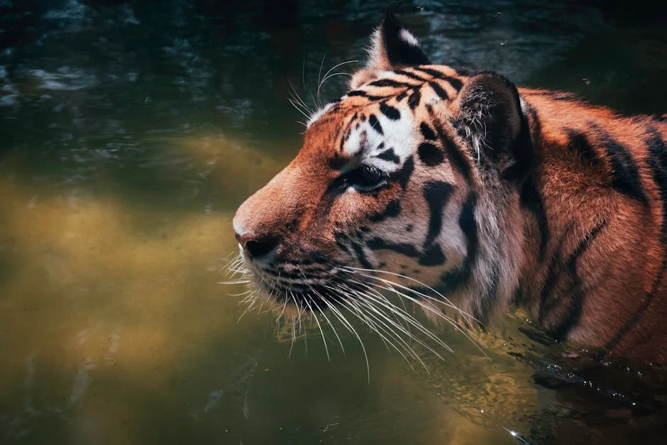 Tiger Brands Seizes Power Deal to Slash Costs