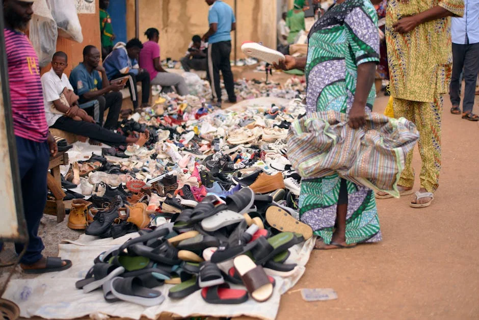 Tinubu Pushes Nigeria Reforms to Attract Global Capital