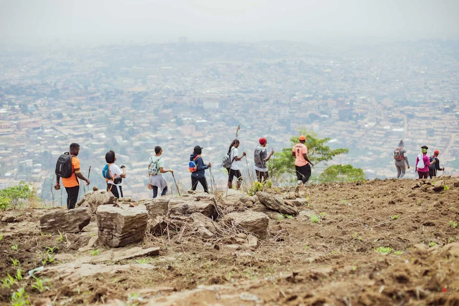 TrustAfrica Reveals Governance Gaps That Threaten African Markets — Environment Nature