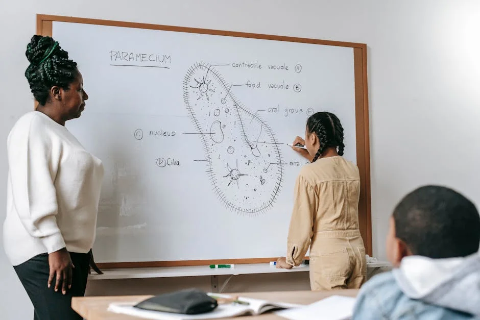 UCT Professor Wins Global Science Award — Funding Flows to Cape Town