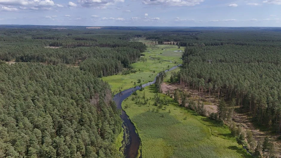 Ukraine Resumes Russian Oil Pipeline to Europe Amid Supply Shifts