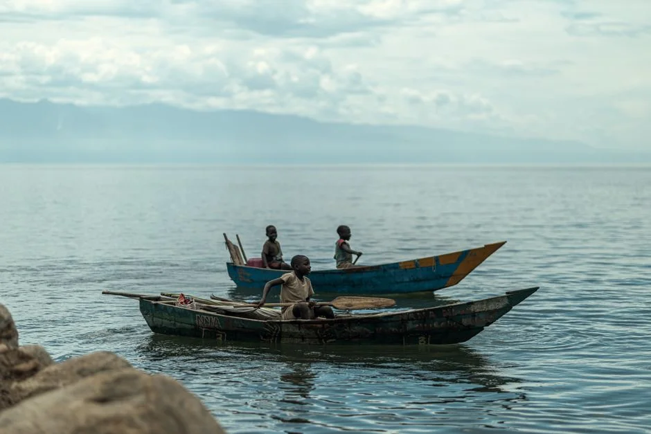 UN Demands Africa Build More Fish Farms as Import Bill Hits Record High — Sports