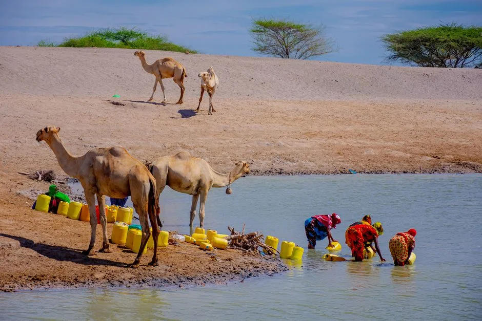 UN Warns Hunger in Northern Nigeria Has Reached Crisis Levels