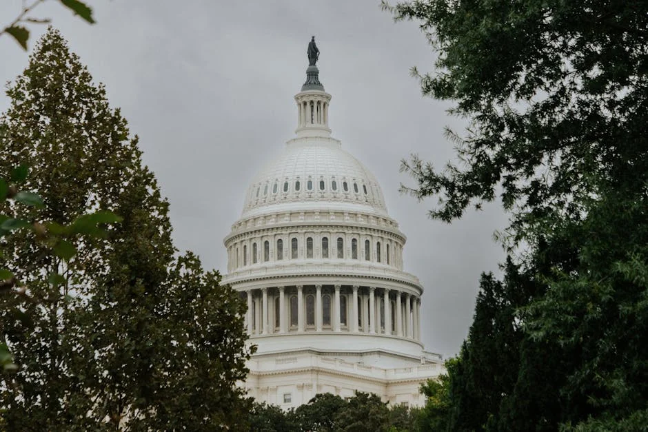White House Claims AI Theft by China — Markets Brace for Impact — Economy Business
