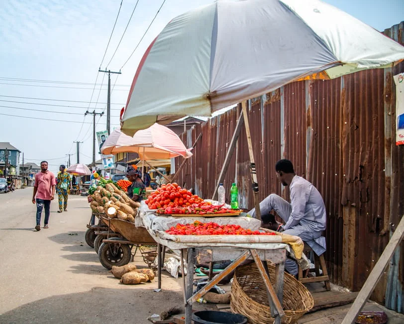 WHO Slams US Ebola Travel Ban — Markets Brace for Shock