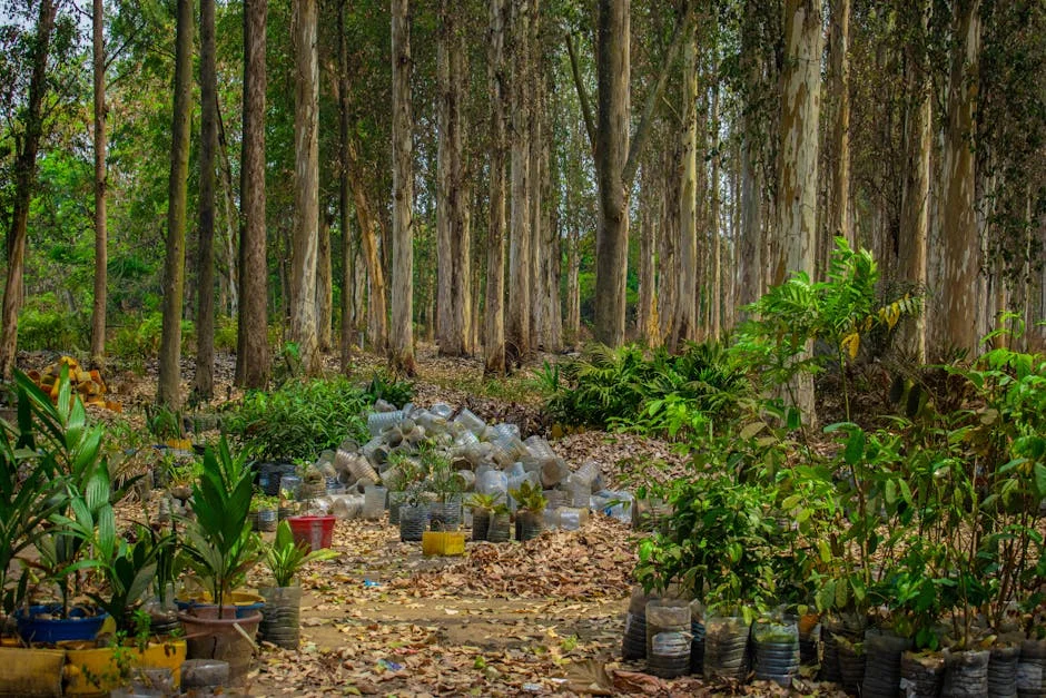 Why Africa's Health and Environment Investment Push Matters for Investors Now — Health Medicine
