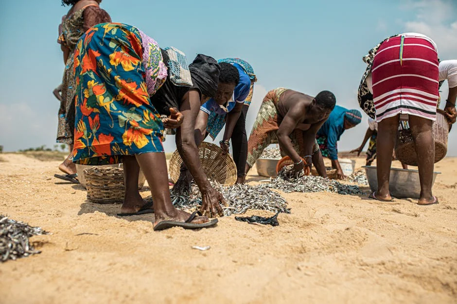 Yara Warns of African Food Shortages as Iran Conflict Escalates — Politics Governance