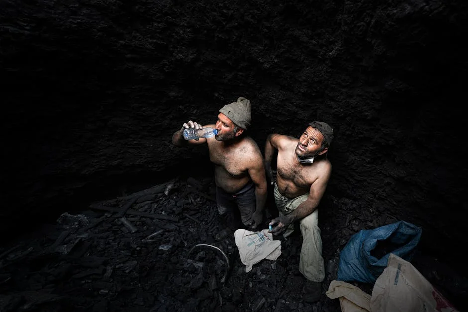 Zambia Halts Coal Exports to Boost Local Power Supply — Economy Business