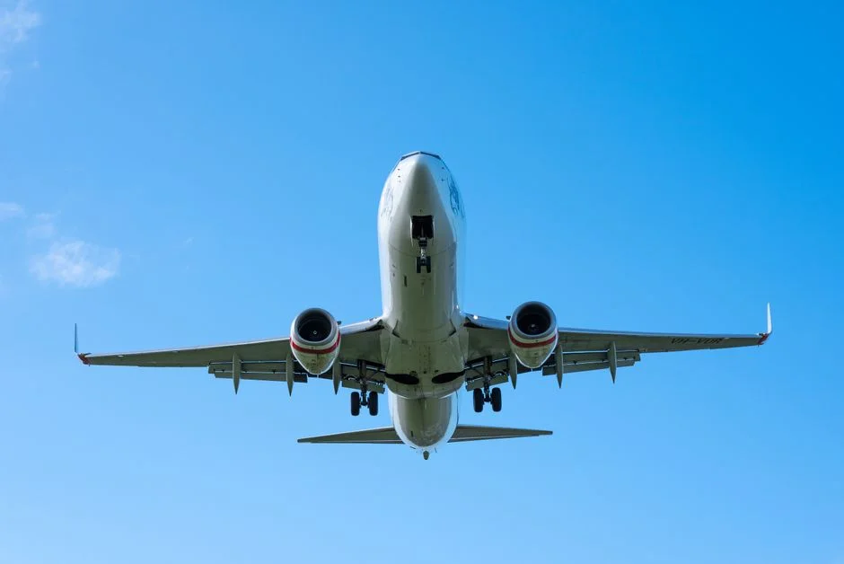 Zimbabwe Launches Mass Repatriation — Thousands Already Returning from South Africa