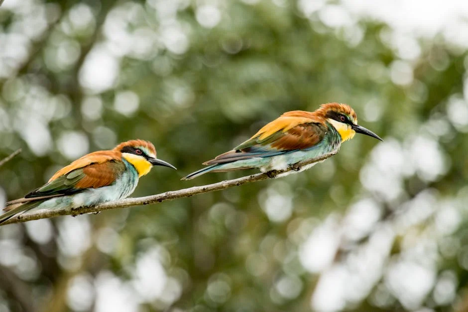 Zimbabwe Reclaims Stone Birds — Boosts Cultural Tourism Prospects